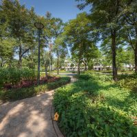 aio_gallery_image_aio-widget-aio_gallery_image-1-template