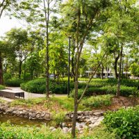 aio_gallery_image_aio-widget-aio_gallery_image-1510004-template